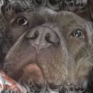 Meet your Posher, Brad